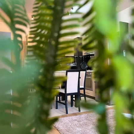Petya's Cozy Relaxing Aparment. * فارنا