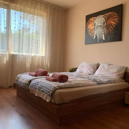 Petya's Cozy Relaxing Aparment. شقة *